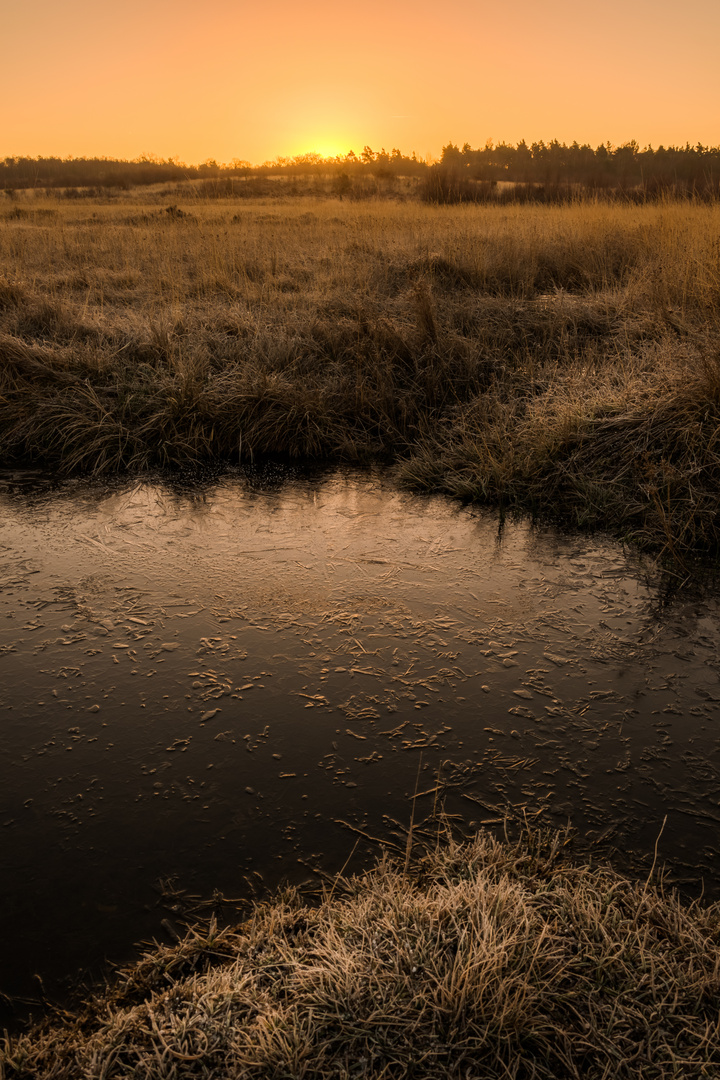 Sonnenaufgang in der Wahner Heide