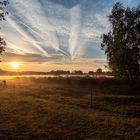 Sonnenaufgang in der Wahner Heide