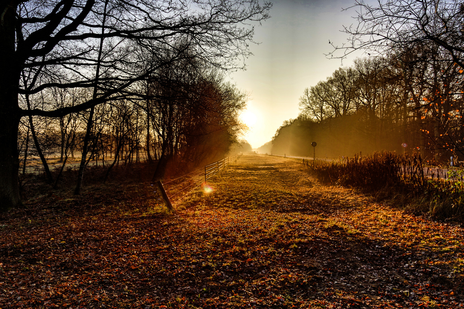 Sonnenaufgang in der Wahner Heide