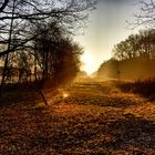 Sonnenaufgang in der Wahner Heide