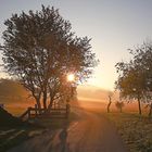 Sonnenaufgang in der Waldrandsiedlung