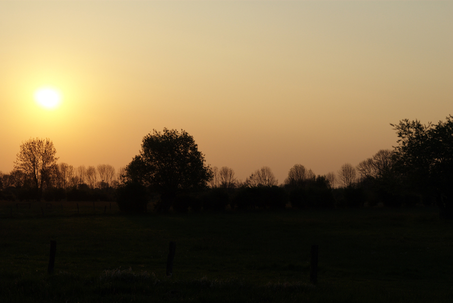 Sonnenaufgang in der Wesermarsch