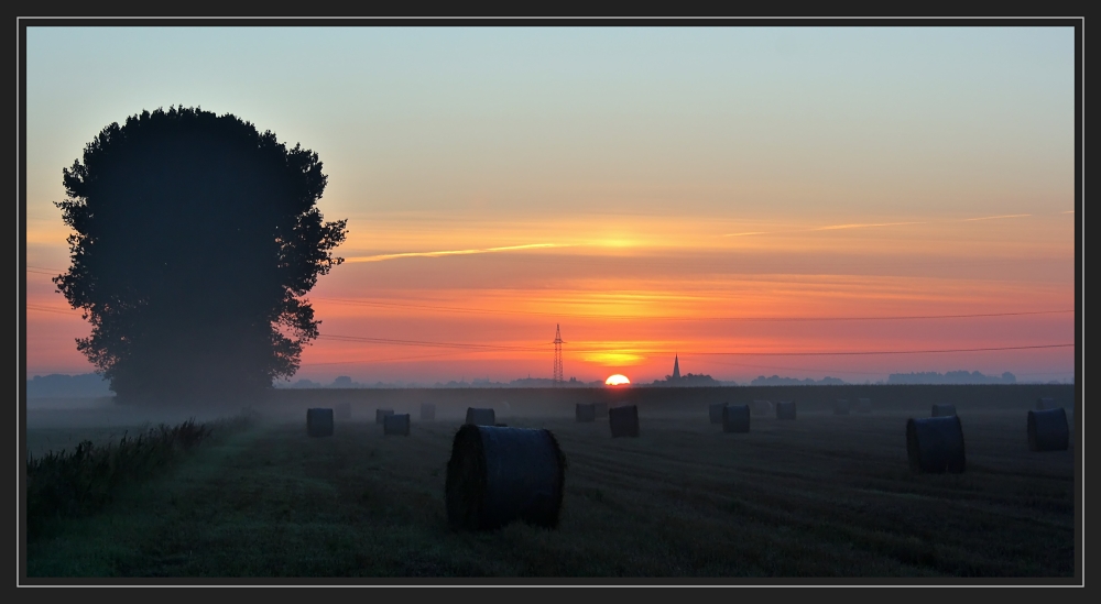 Sonnenaufgang in der Wesermarsch