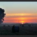 Sonnenaufgang in der Wesermarsch