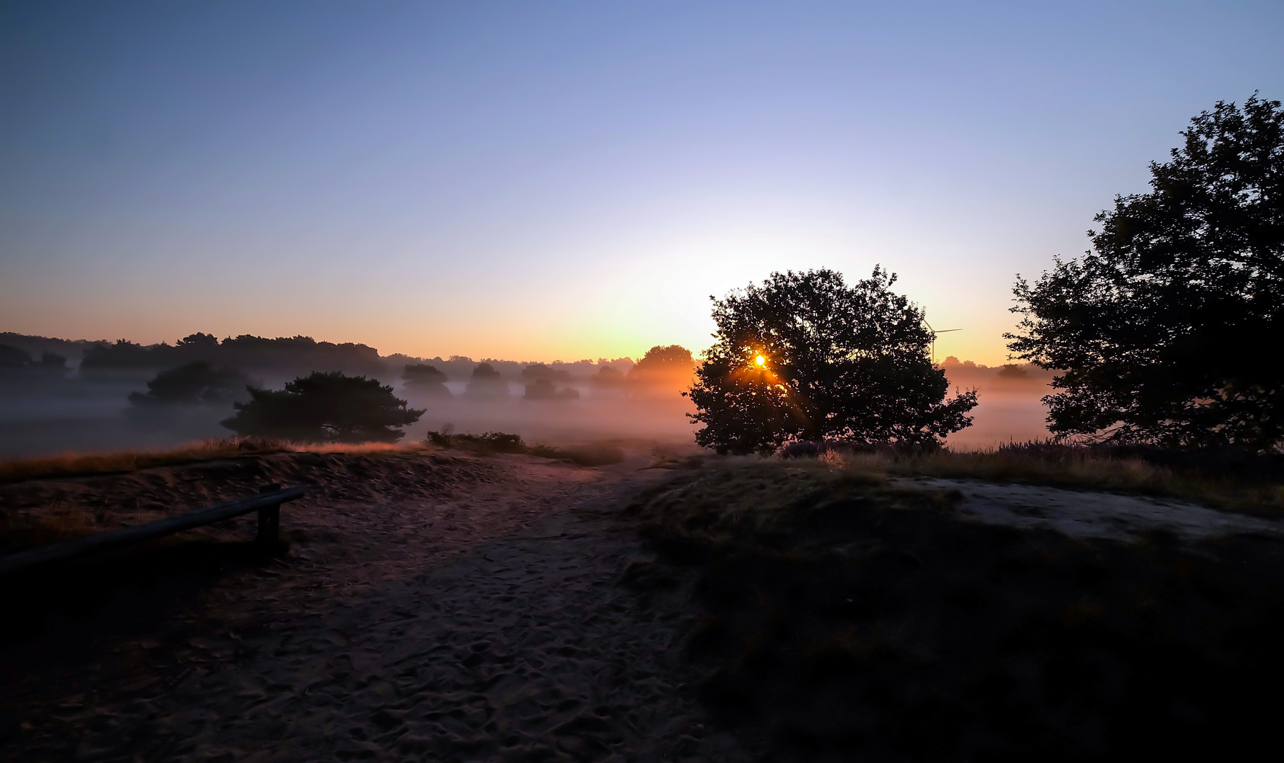 Sonnenaufgang in der Westruper Heide