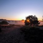 Sonnenaufgang in der Westruper Heide