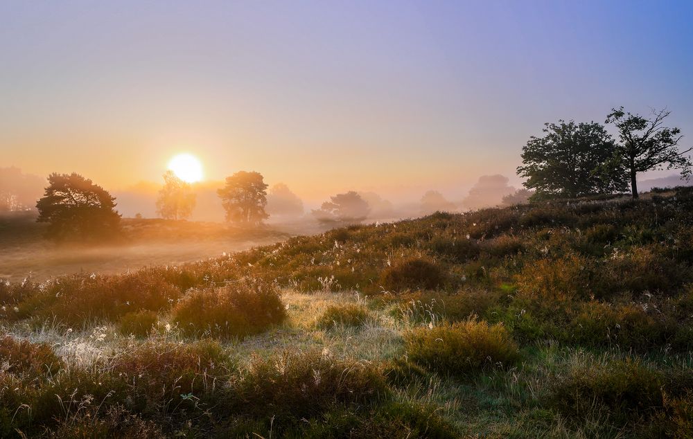 Sonnenaufgang in der Westruper Heide