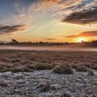 Sonnenaufgang in der Westruper Heide 