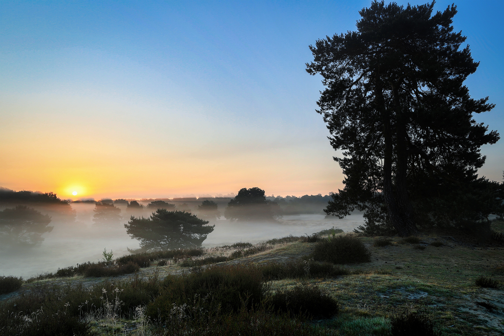 Sonnenaufgang in der Westruper Heide