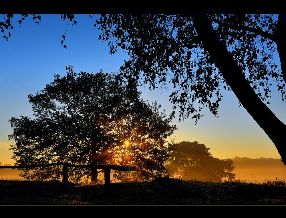 Sonnenaufgang in der Westruper Heide, Haltern am See