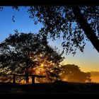 Sonnenaufgang in der Westruper Heide, Haltern am See