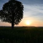 Sonnenaufgang in der Wetterau