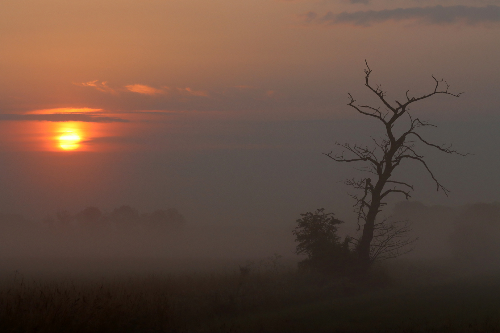 Sonnenaufgang in der Wetterniederung