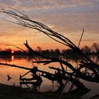 Sonnenaufgang in der Wildnis