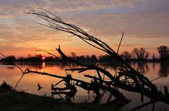 Sonnenaufgang in der Wildnis