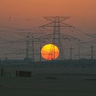 Sonnenaufgang in der Wüste