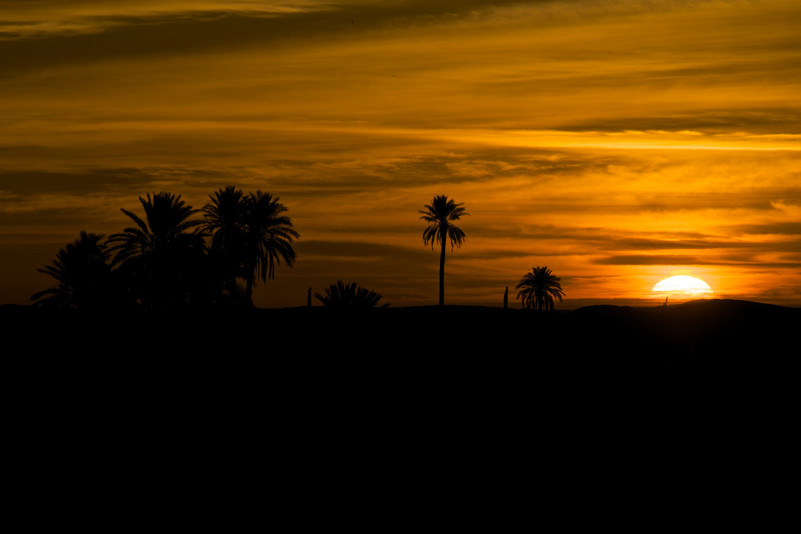 Sonnenaufgang in der Wüste