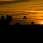 Sonnenaufgang in der Wüste