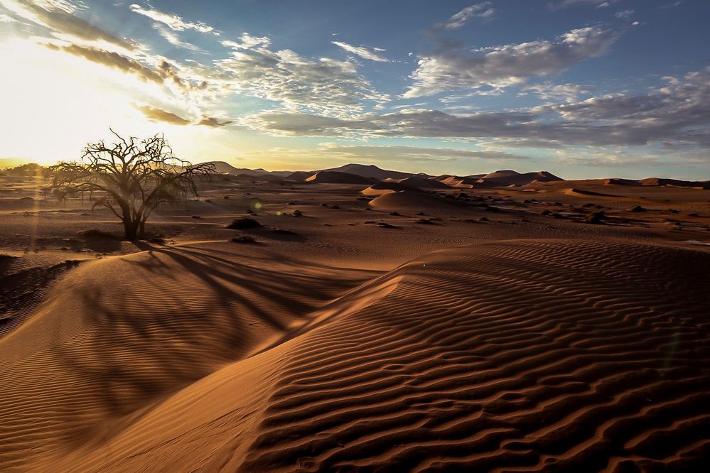 Sonnenaufgang in der Wüste Foto & Bild landschaft, wüste, urlaub
