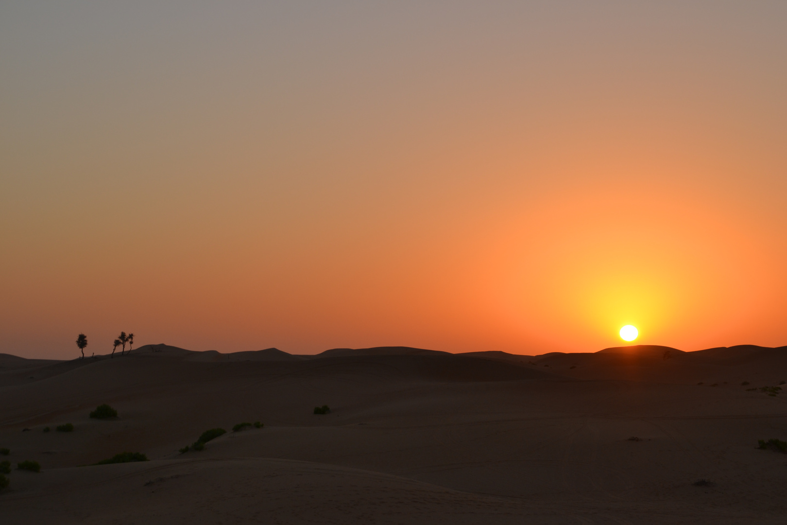 Sonnenaufgang in der Wüste