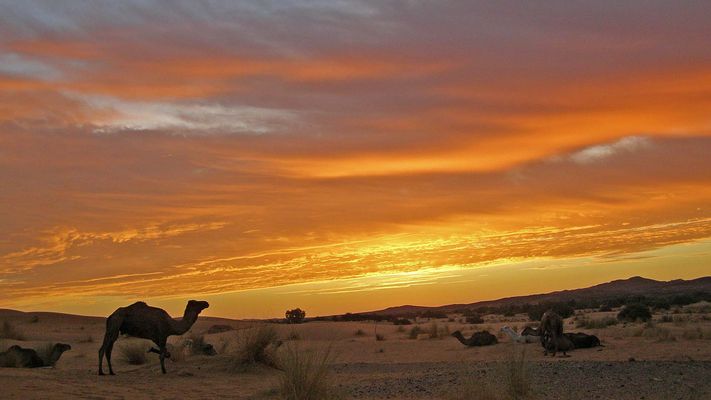Sonnenaufgang in der Wüste