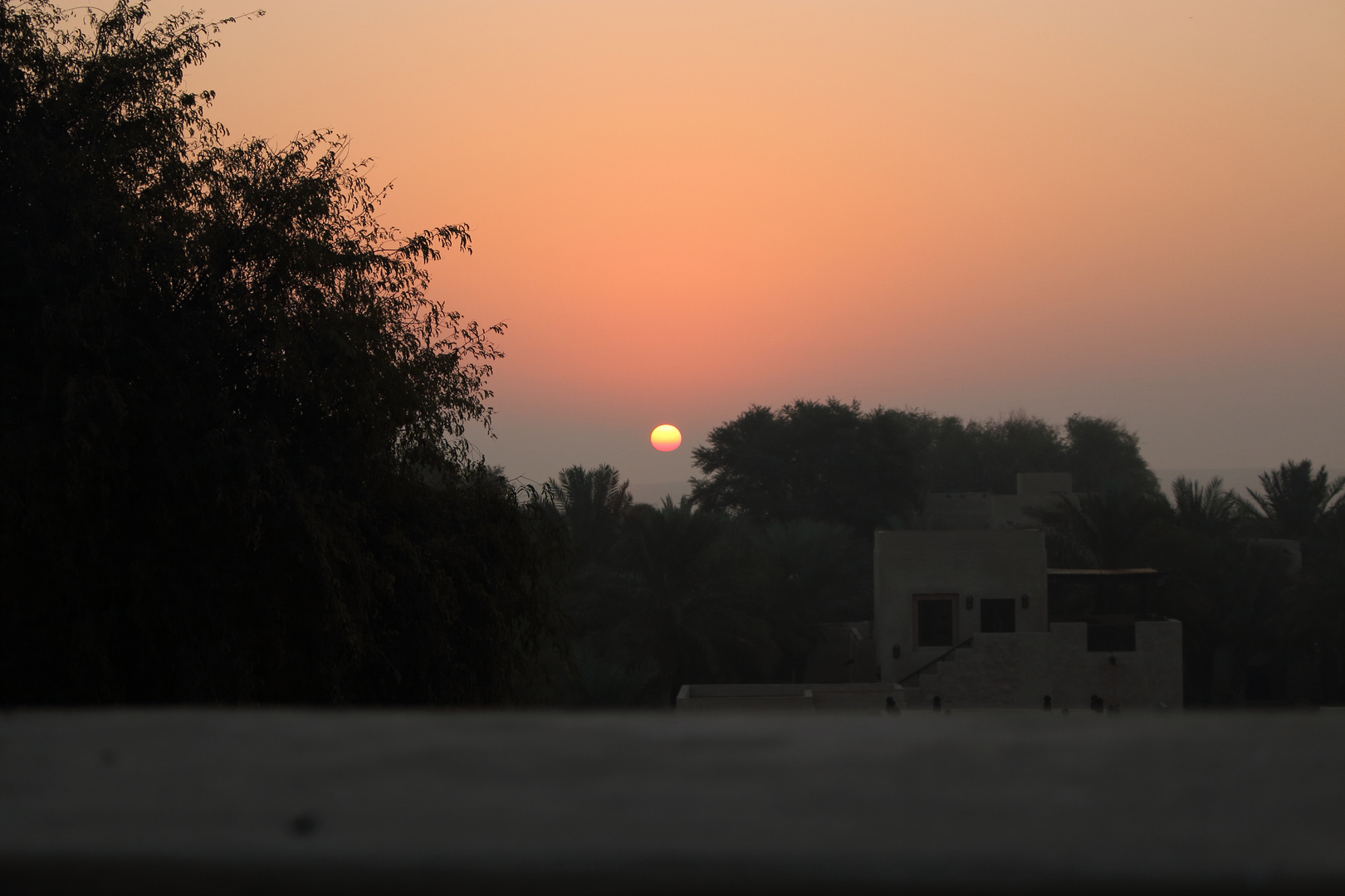 Sonnenaufgang in der Wüste mit Nebel