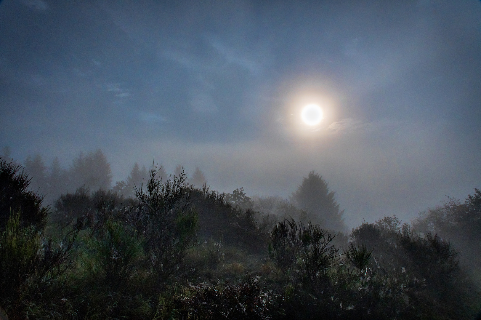 Sonnenaufgang in Dörscheid - Nebel über der Landschaft