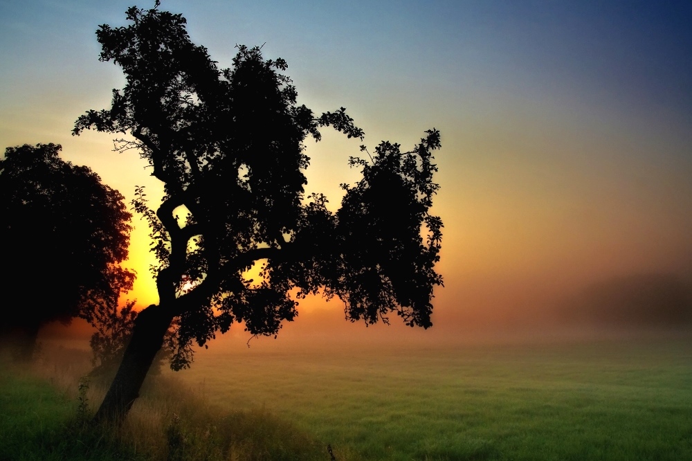 Sonnenaufgang in Dreisielen