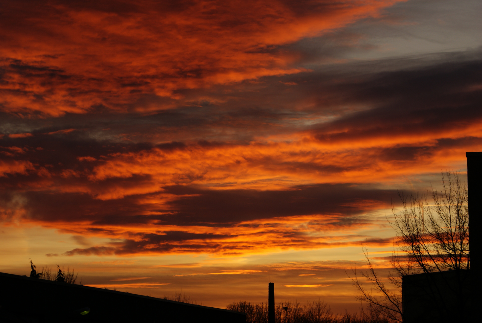 sonnenaufgang in dresden