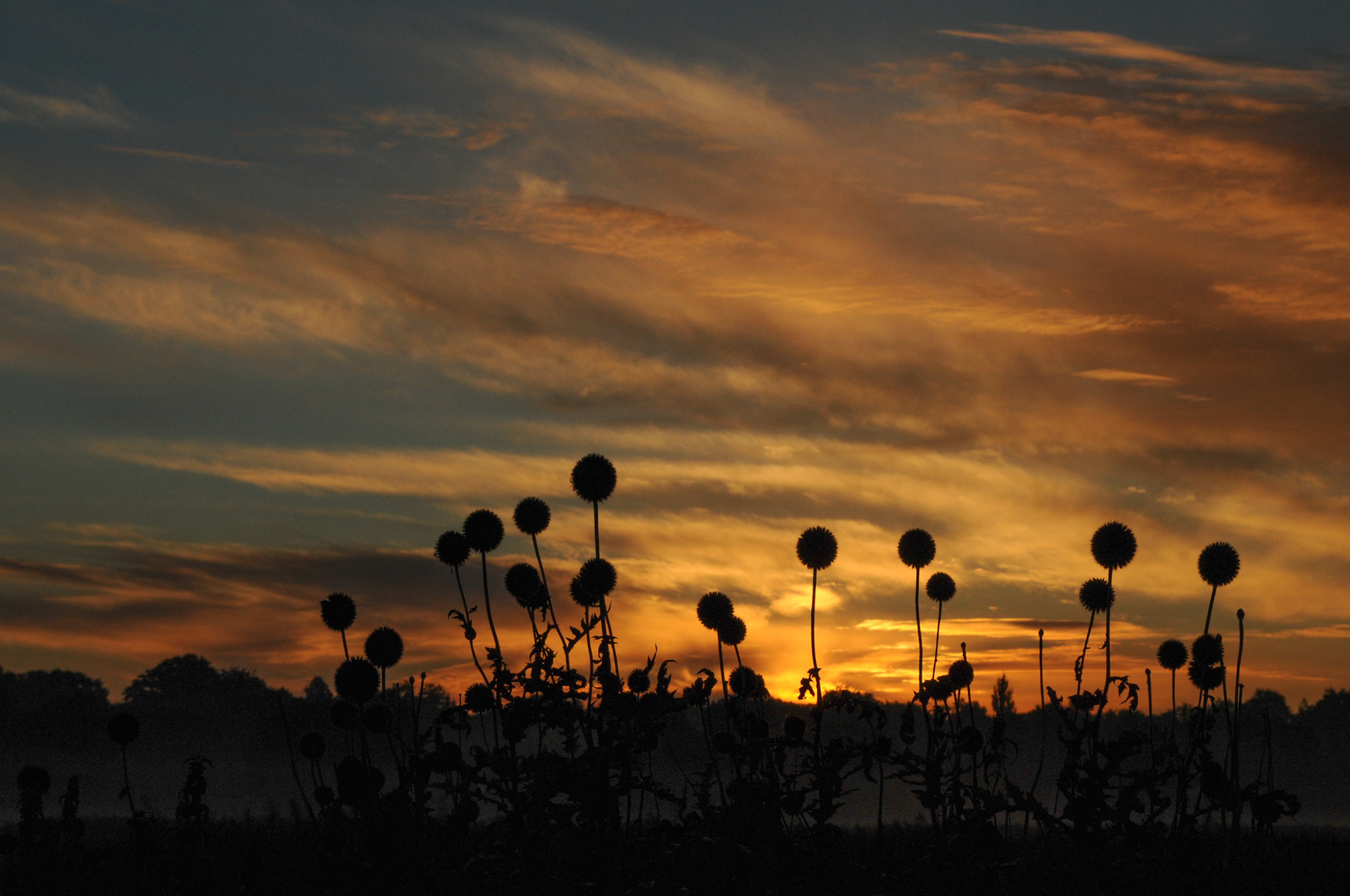 Sonnenaufgang in Dronningmölle 5