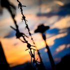 Sonnenaufgang in Düsseldorf 