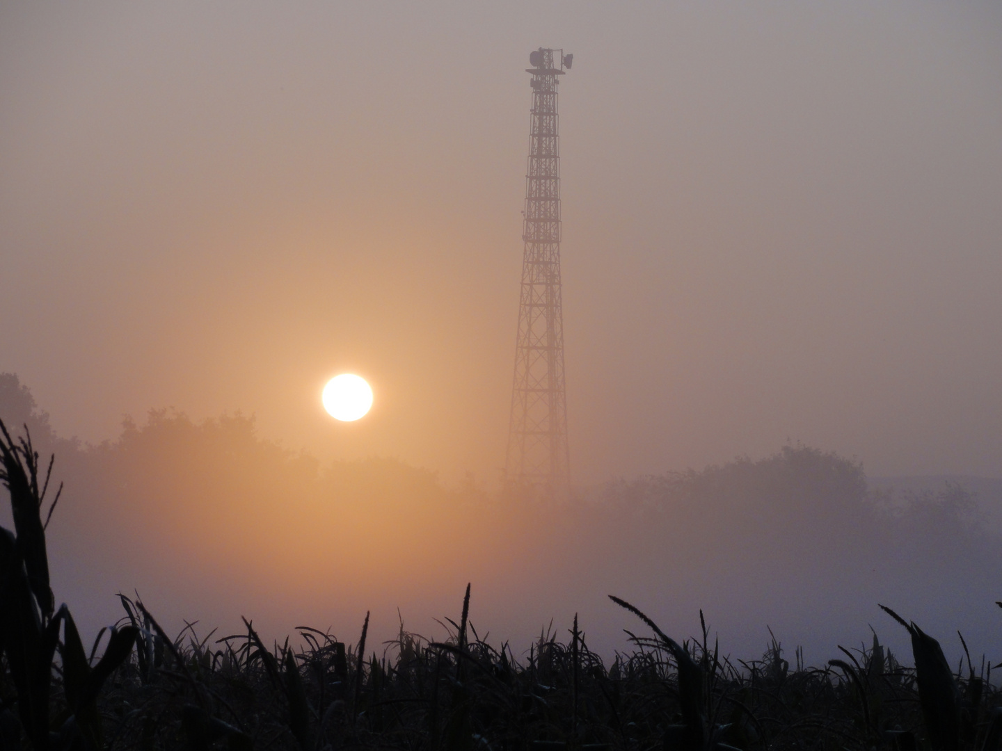 Sonnenaufgang in Duisburg