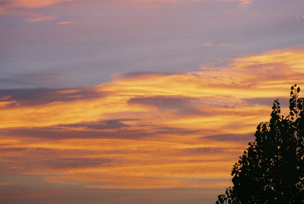 Sonnenaufgang in Duisburg-Neudorf (2)