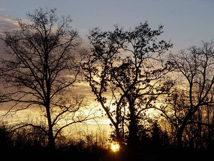 Sonnenaufgang in einen Föhntag