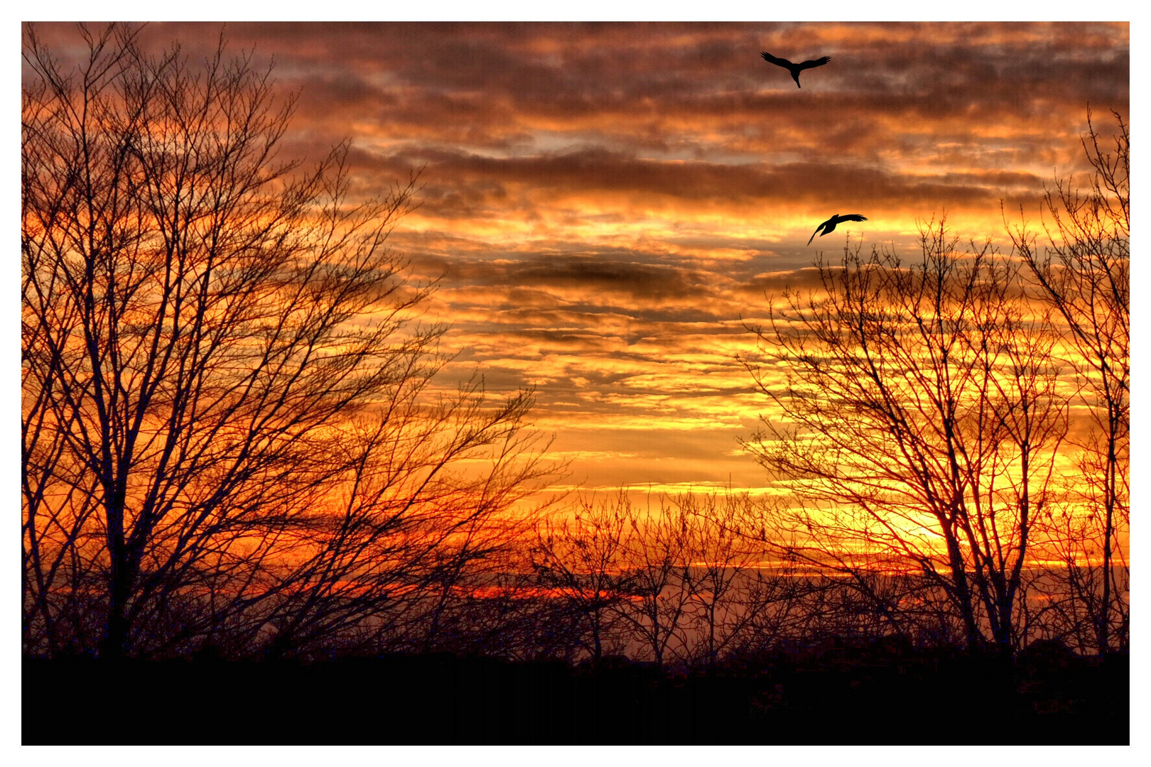 Sonnenaufgang in Essen