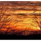 Sonnenaufgang in Essen