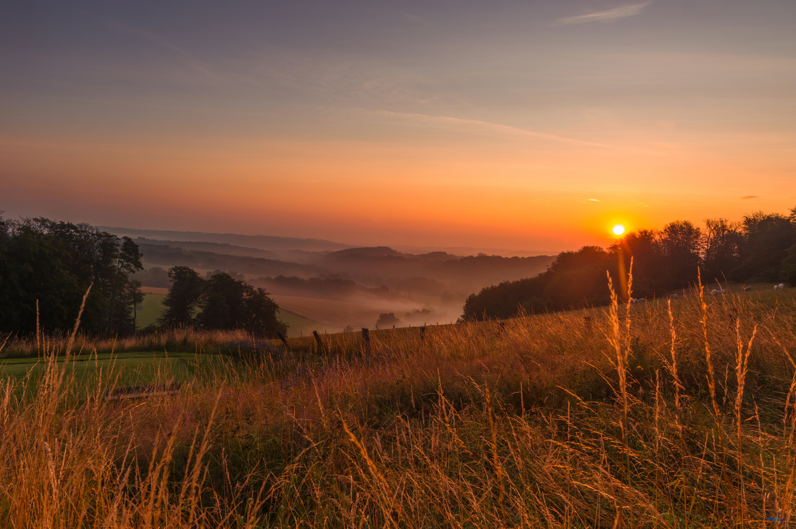 Sonnenaufgang in Essen Heidhausen 