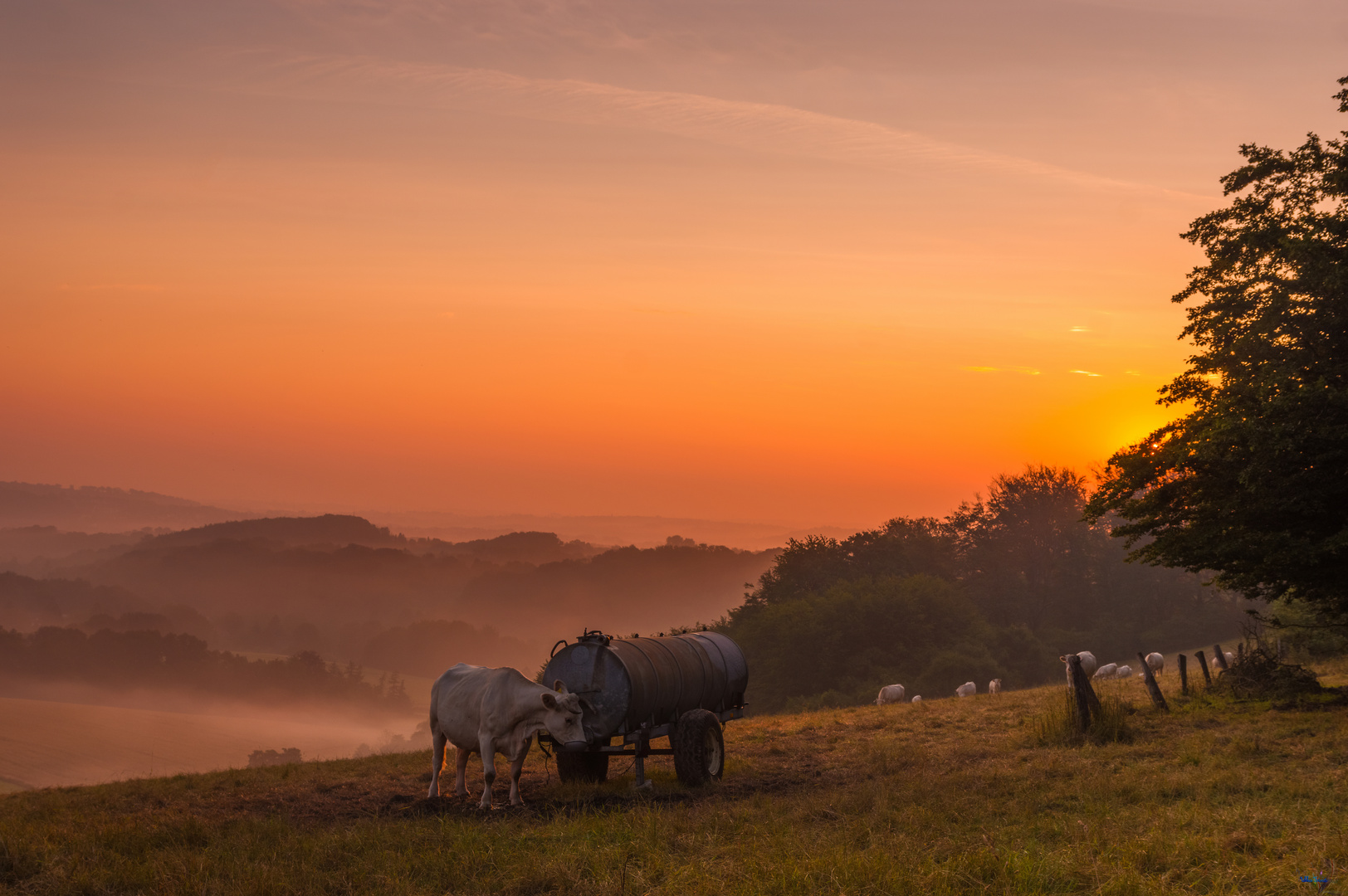 Sonnenaufgang in Essen Heidhausen 