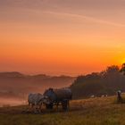 Sonnenaufgang in Essen Heidhausen 