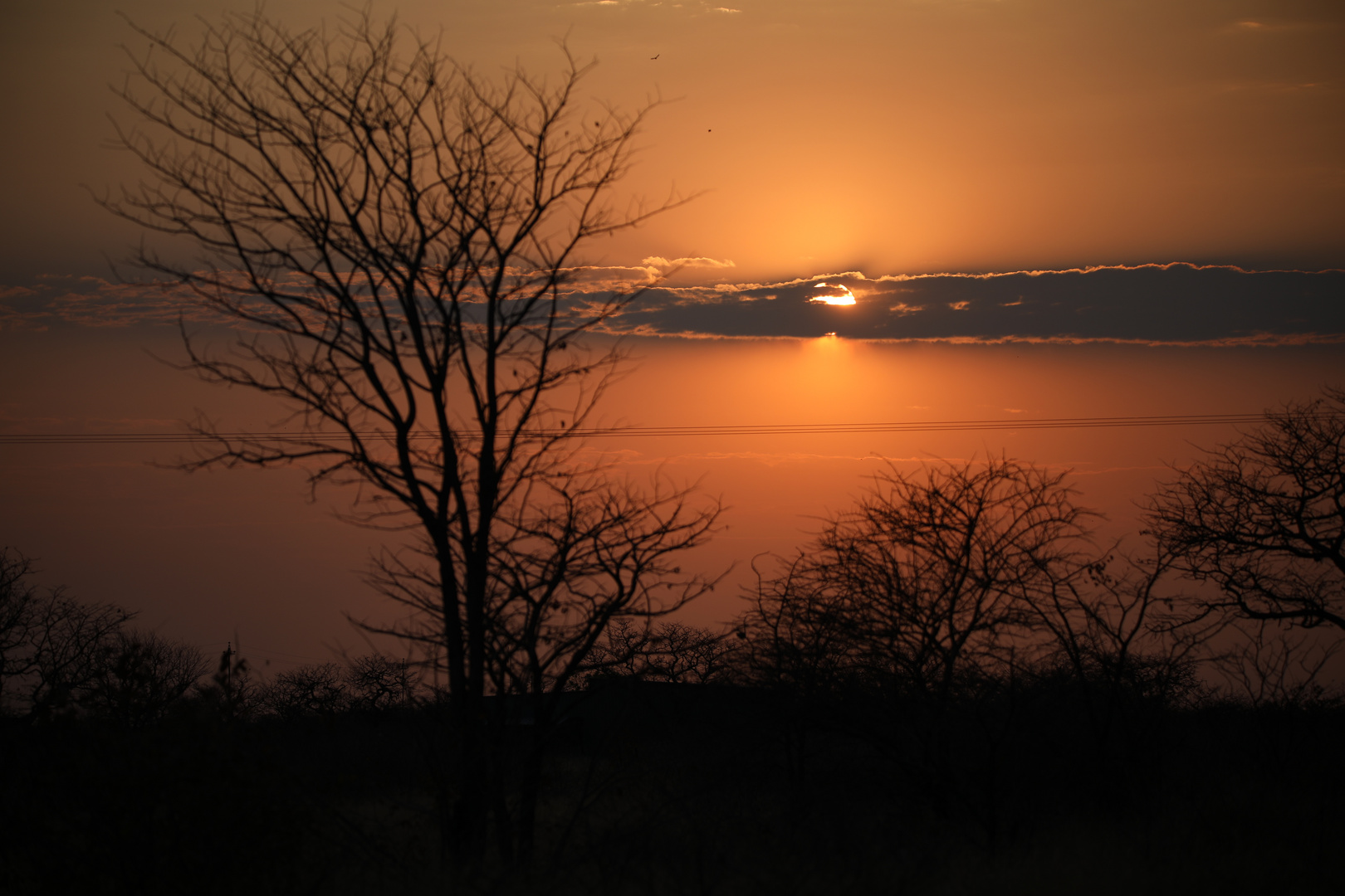 Sonnenaufgang in Etosha