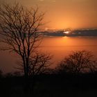Sonnenaufgang in Etosha