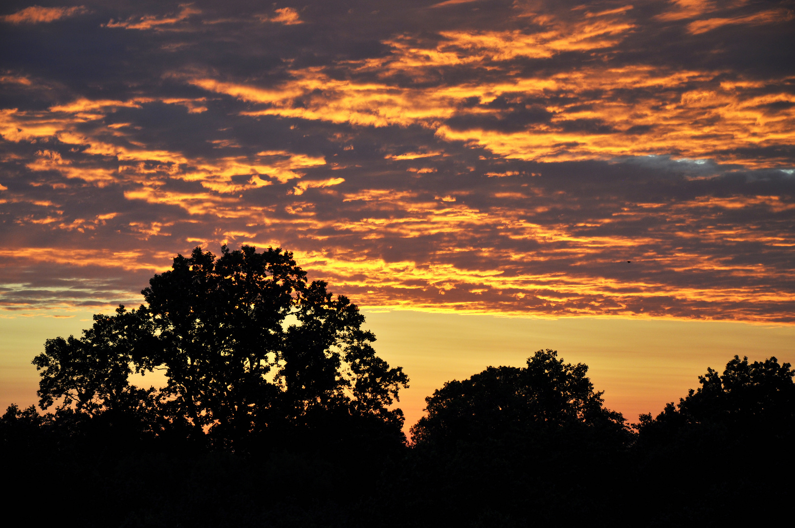 Sonnenaufgang in Falls Church Virginia aus dem 9 Stock