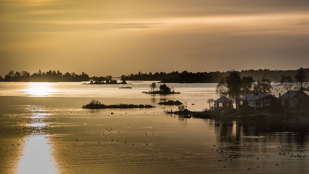 Sonnenaufgang in Figeholm