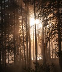 Sonnenaufgang in Finnland