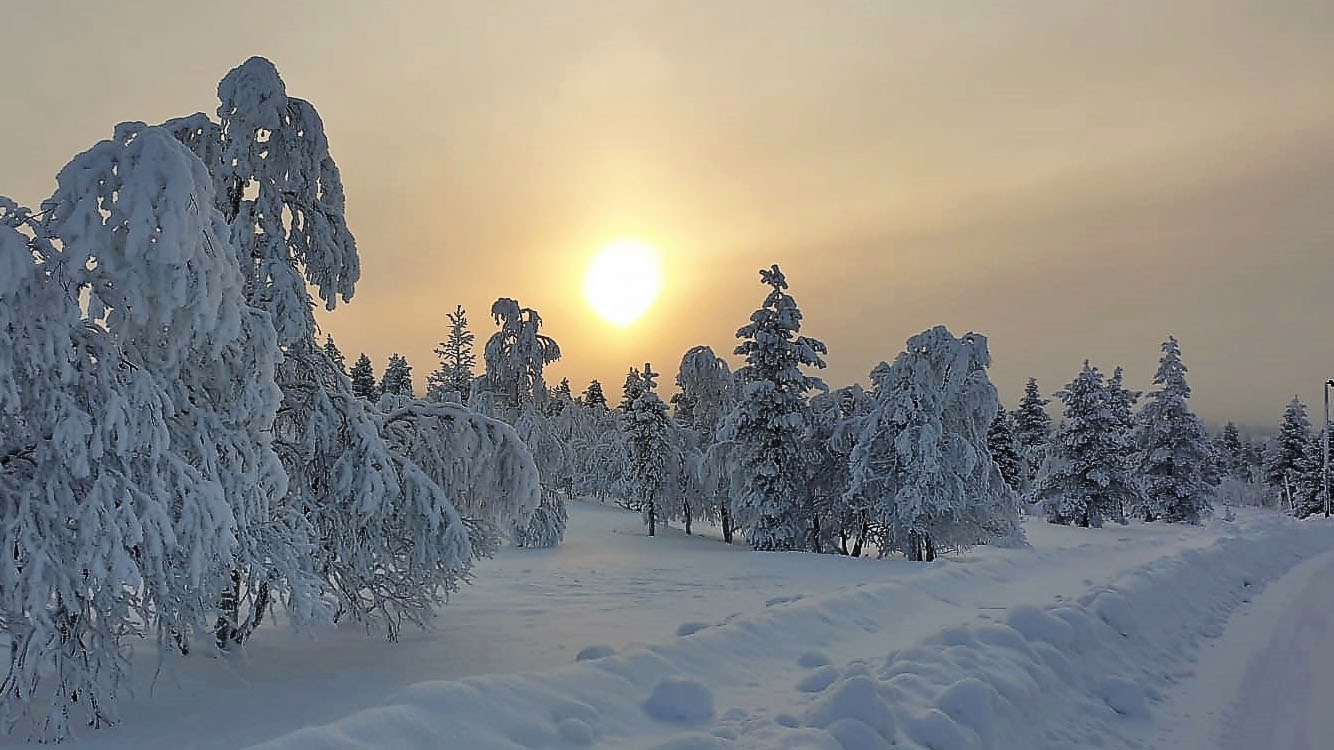 Sonnenaufgang in Finnland / Lappland