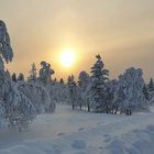 Sonnenaufgang in Finnland / Lappland