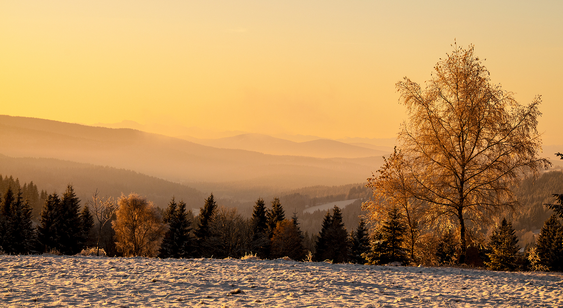 Sonnenaufgang in Finsterau, Bayerischer Wald