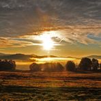 Sonnenaufgang in Finsterau - Bayerischer Wald