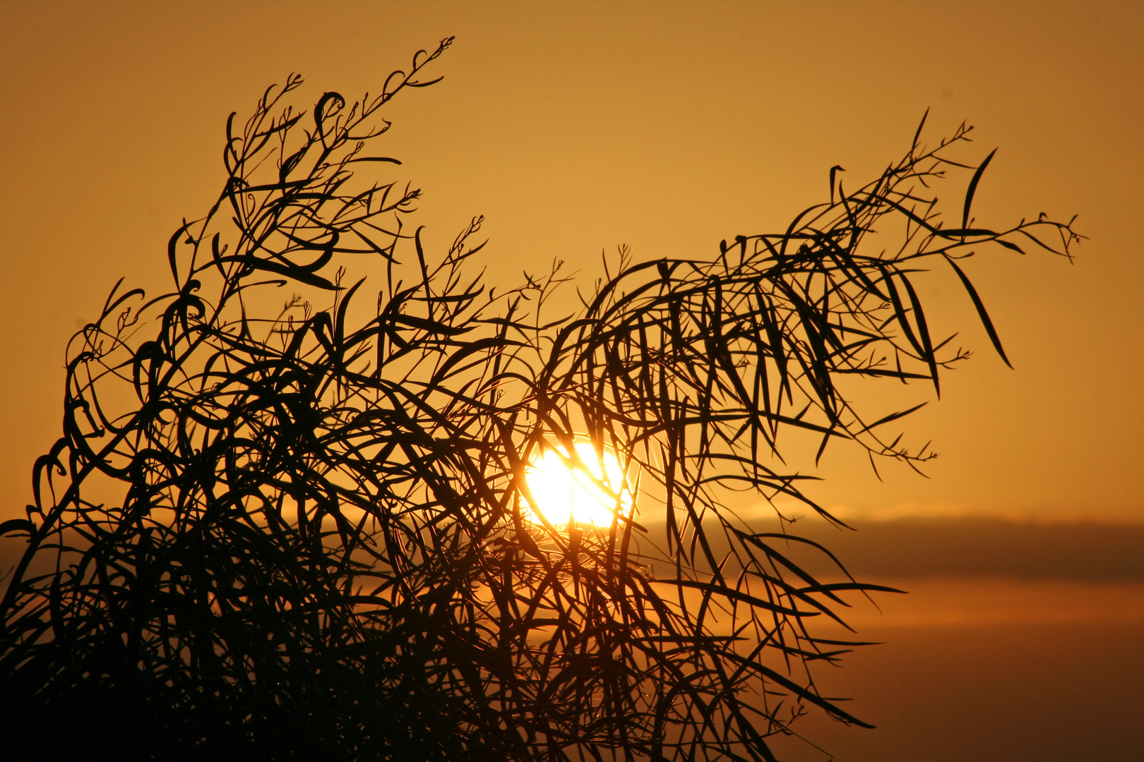 Sonnenaufgang in Fuerteventura