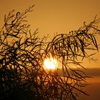 Sonnenaufgang in Fuerteventura